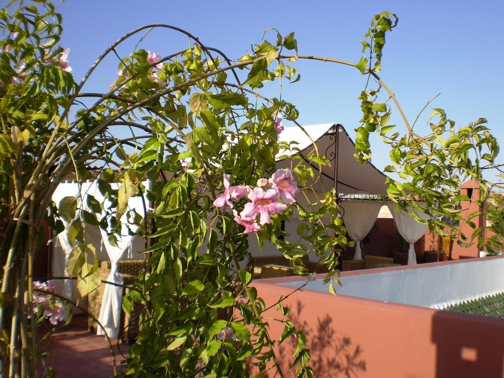 Riad Mariana Marrakesh Exteriör bild