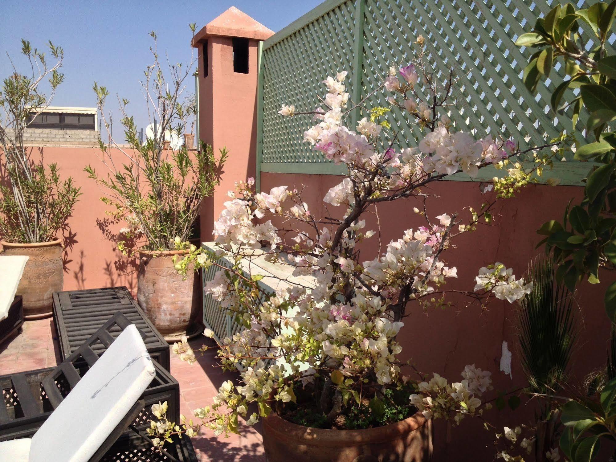 Riad Mariana Marrakesh Exteriör bild